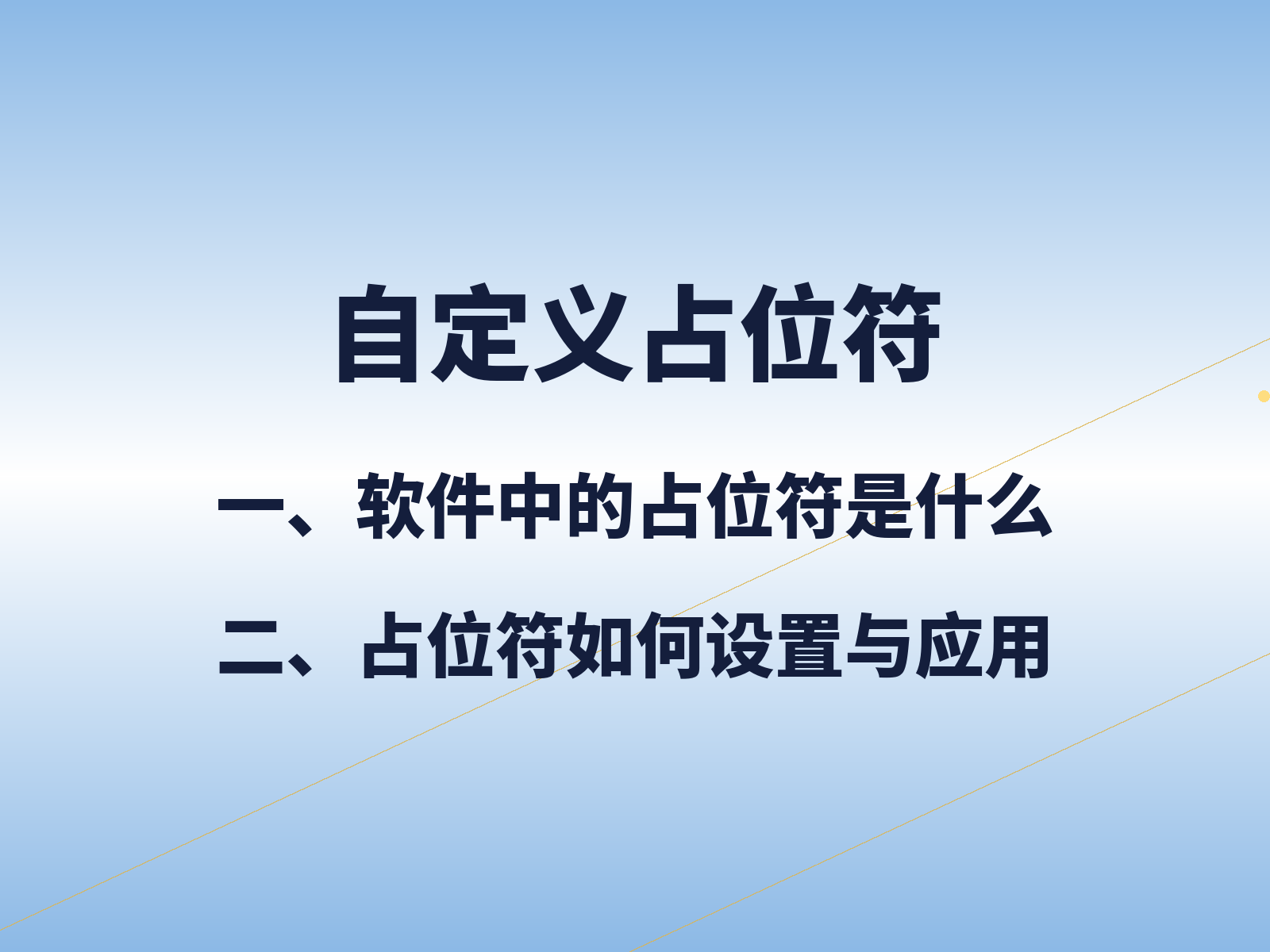 自定义占位符